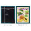 «Apricot Study I», reproduction d'art sur papier-827859037-827859042