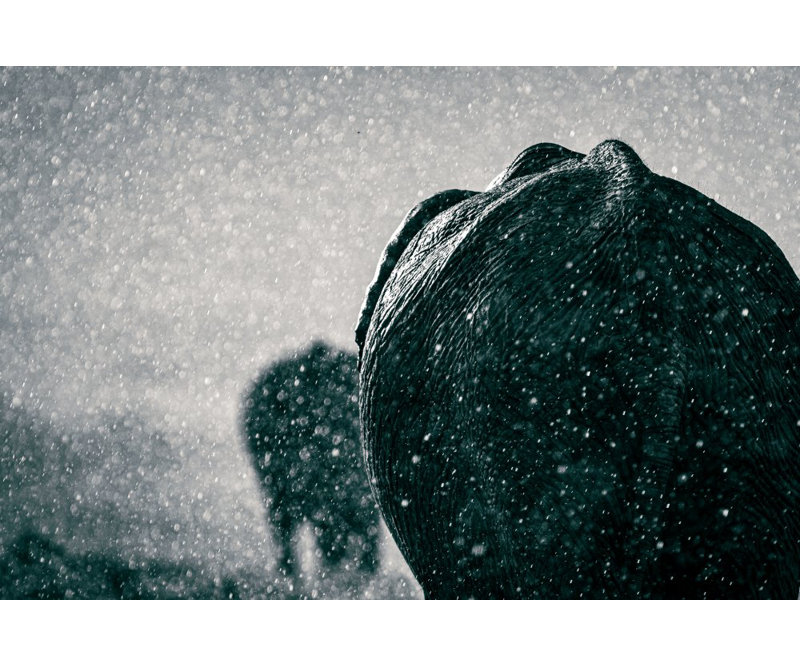 Wrapped Canvas Print, 50.8cm H x 76.2cm W