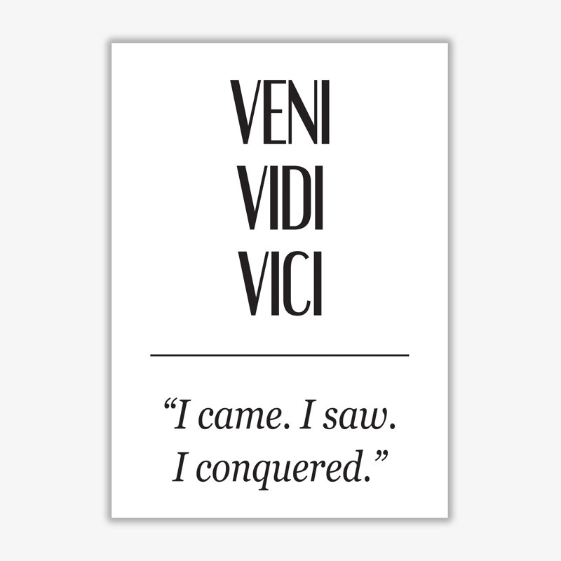 Veni Vidi Vici - Print, 42 cm H x 30 cm W x 1 cm D, No Frame