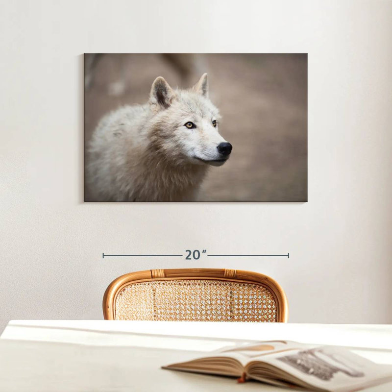 Loup blanc arctique, H 16 po x l 24 po