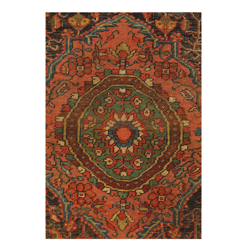 Mahiya Cotton Oriental Area Rug in Rust