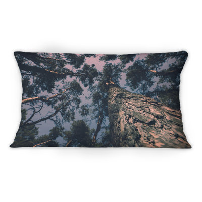 Magic Landscape With Pine Tree And Dramatic Sky I -1 Tropical Printed Throw Pillow
