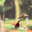 Figurine