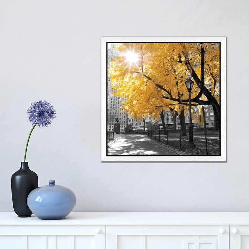 Park Pretty by Amanda J. Brooks - Print on Canvas, 45.72 cm H x 45.72 cm W, White Framed
