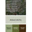 Art mural en métal Botanical Hawthorn Brown-1450904691