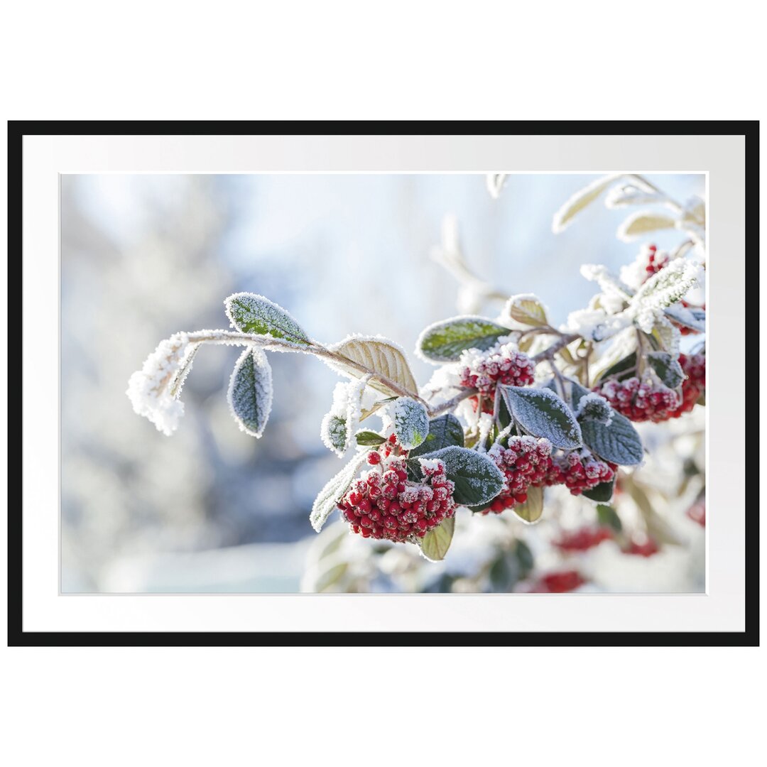 Gerahmtes Poster Vogelbeeren im frostigen Winter