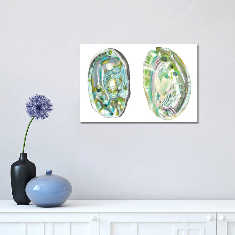 Abalone Shells II by Naomi McCavitt - 1 Piece Wrapped Canvas Wall Art, 30.48cm H x 45.72cm W x 1.91cm D