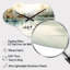 Horloge murale Dubon Ducks in Pond I - Duck-1420556487