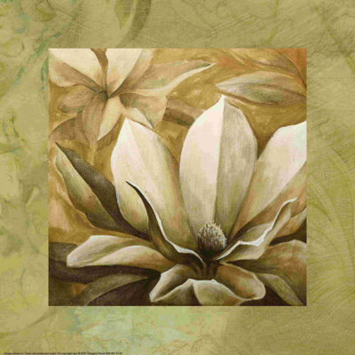 " Magnolia Estate 2 " Painting Print