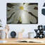 «White Flower» par Dennis Frates-185600226