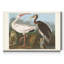 Impression sur toile tendue « pl 222 White »-146864488