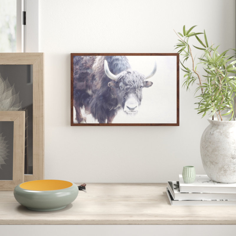 Parvez Taj - Single Picture Frame Print, 41cm H x 61cm W x 3.81cm D