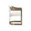 Upholstered Arm Chair