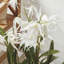 Stiles Faux Flowering Plant