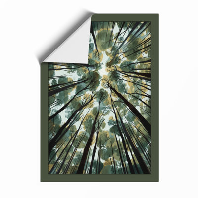 Forest Canopy Looking Up Scandinavian - Print