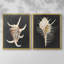 Graphic Spider Conch-Premium Framed Print -Ready to Hang - No Nails Required - No Nails Required-872600842-872600843