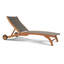 Outdoor Teak Chaise Lounge-2022375431