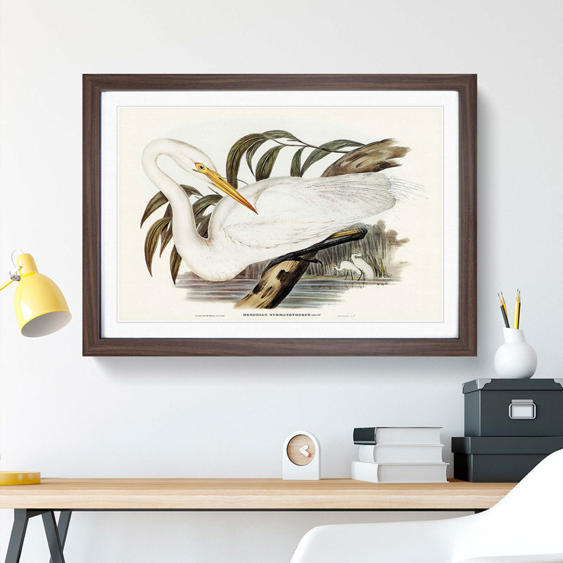 Australian Egret by Elizabeth Gould - Single Picture Frame Painting, 24cm H x 33cm W x 2cm D, Walnut Framed