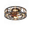Ventilateur de plafond en cage avec lumières et télécommande-1171400537-1171400538