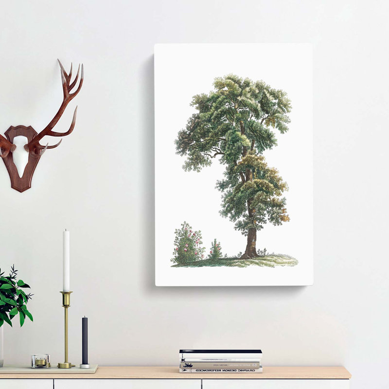 Tree Illustration by Pierre-Joseph Redoute - Wrapped Canvas, 60cm H x 40cm W x 3cm D