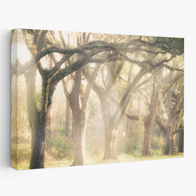 Cottage Americana et Modern Rustic Georgia Rays, H 60 po x l 40 po