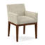 Upholstered Arm Chair-35998756-35998971
