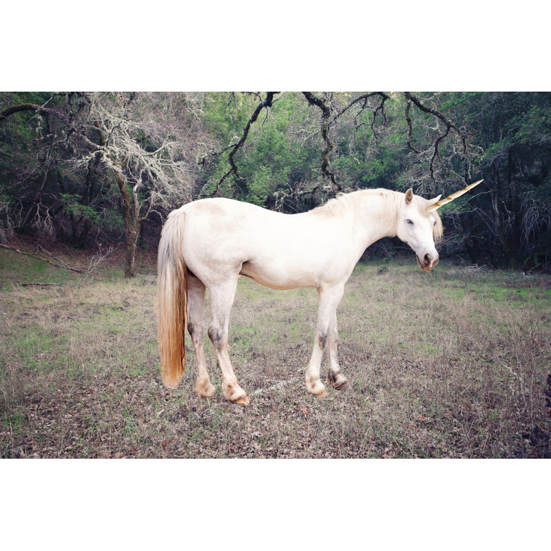 Unicorn Realistic by MadKruben - Wrapped Canvas Print, 81cm H x 122cm W