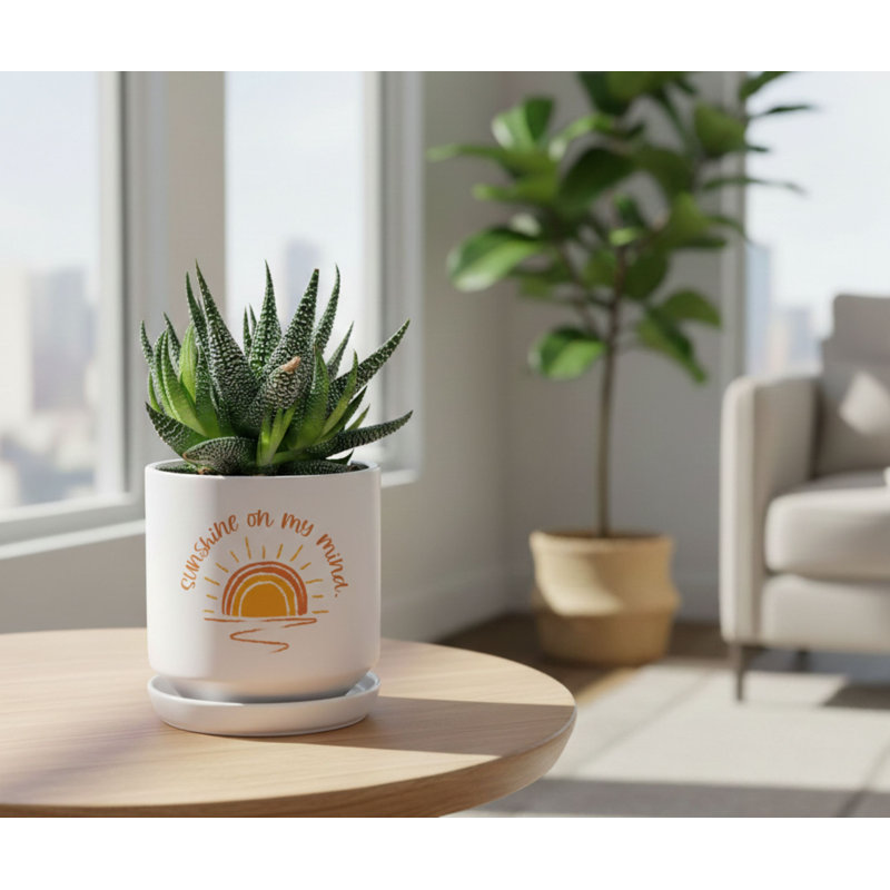 Planter Sunshine On My Mind