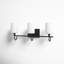 Rowley 3 Light Frosted Dimmable Vanity Light-1903484775