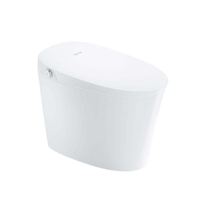 Toilette intelligente Bulit-in avec séchoir à air, fonction de lavage multiple et veilleuse (télécommande incluse)