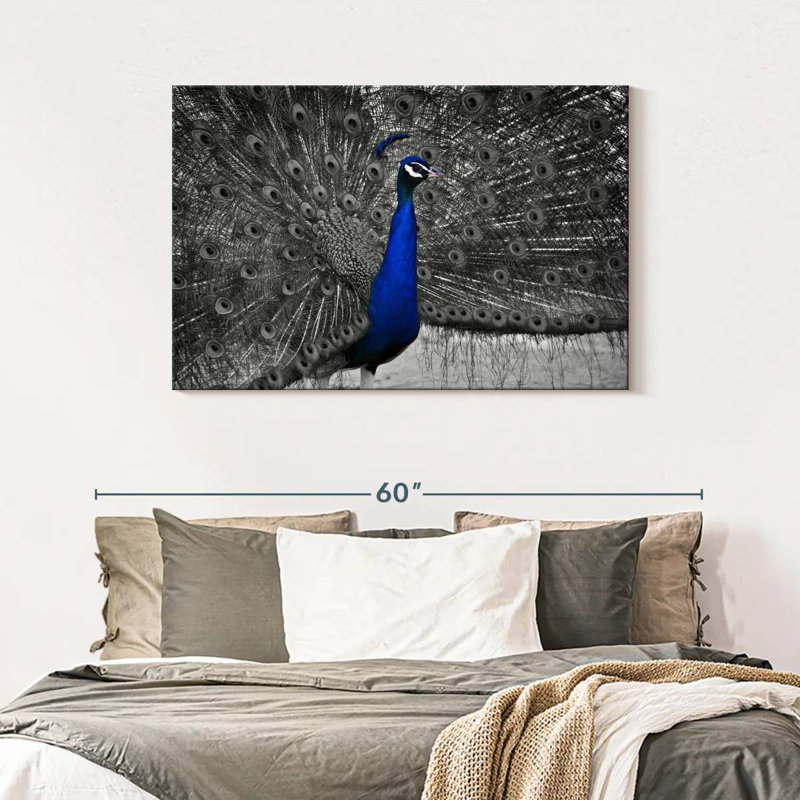 Brampt Peacock Pop, 30" H x 45" W