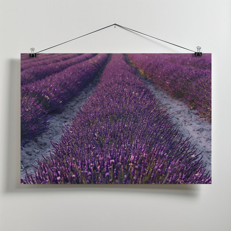 Wrapped Canvas Print, 81.28cm H x 121.92cm W