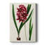 AntiqueFloralFolioV - galerie Cavas sur mesure-1574450361