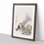 Fox by a Fire by Shibata Zeshin - Picture Frame Painting Print on MDF-55620707-55620710