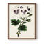 Reproduction encadrée Antique Floral Fangle IX - bois massif-1083935108-1083935119