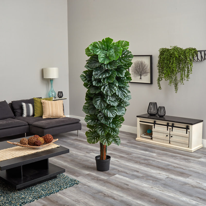 Tree in Pot Liner