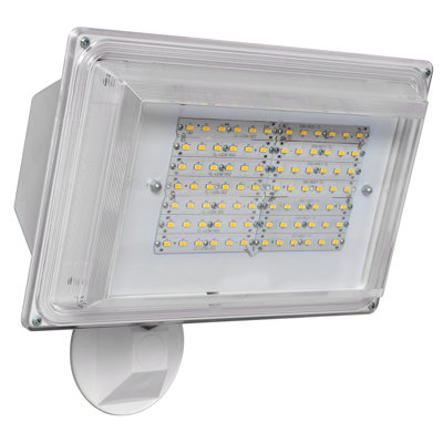 Dominique LED Wall Light