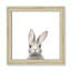 Art encadré en lapins forestières-48163434-48169567