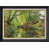 Black Premium Frame n'est pas disponible