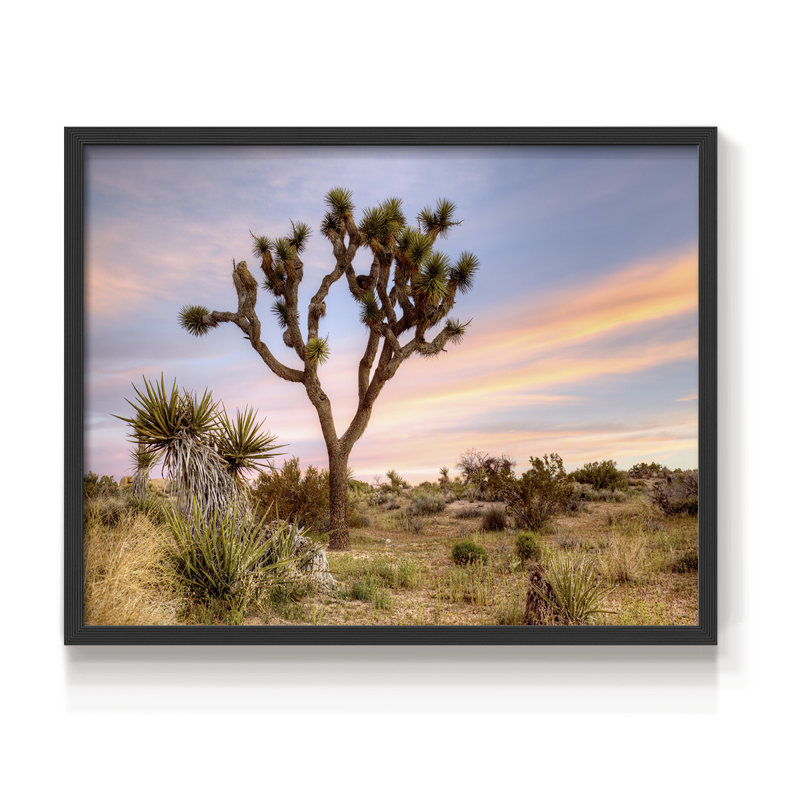 Joshua Tree Sunrise - reproduction encadrée - réarmable, H 8 po x l 10 po, Noir, noir, noir, noir