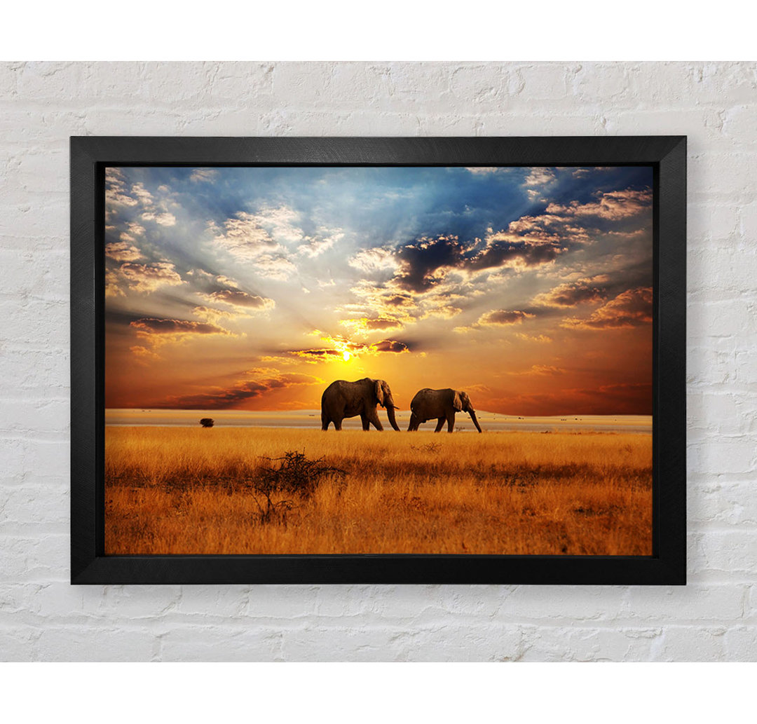 Gerahmtes Leinwandbild Elephant Duo Sunset