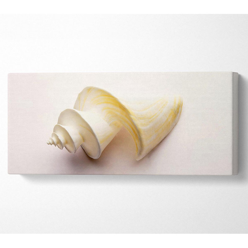 Stunning White Shell - Wrapped Canvas Art Prints, 40.6cm H x 101.6cm W x 10cm D