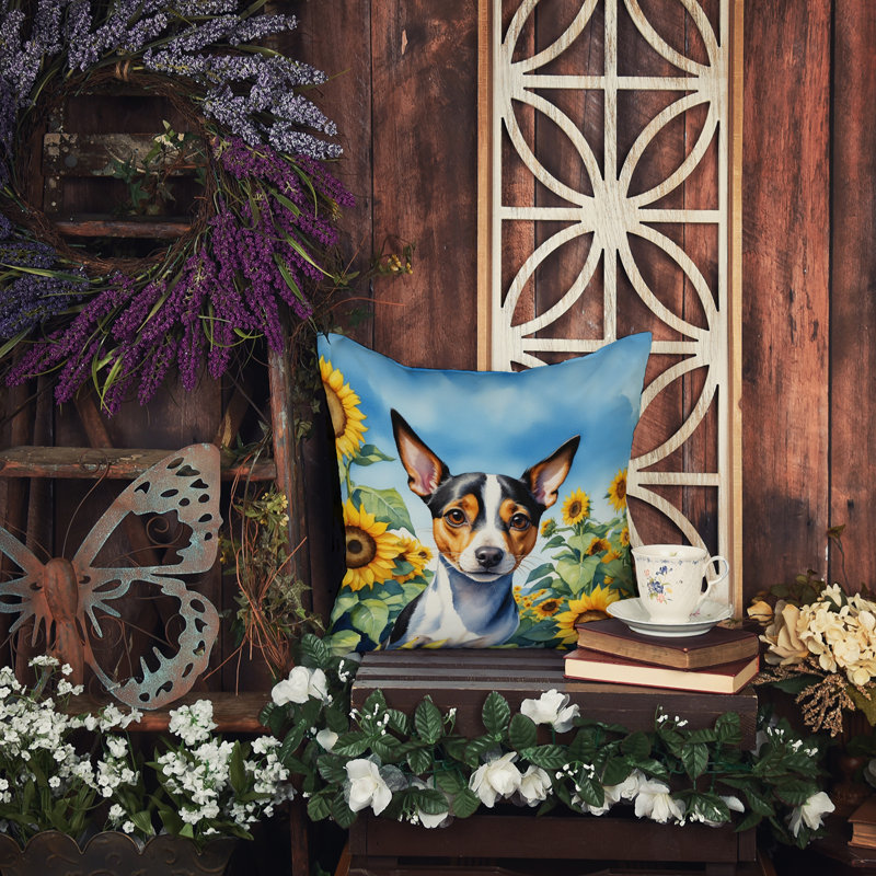 Other/No Pattern Outdoor Throw Pillow, 14"H x 14"W