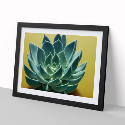 XH1022-8152X Splendorous Succulent Plant - Single Picture Frame Print