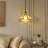Hanging Glass Shade Ceiling Light Adjustable Height