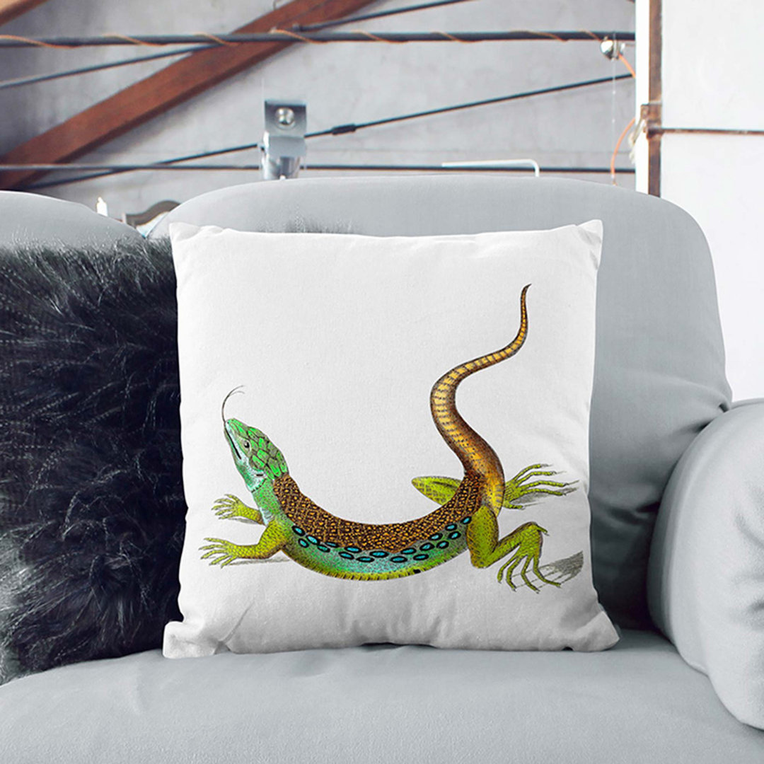 Great-Spotted Lizard by George Shaw Cushion with Filling