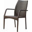 Ensemble de 2 chaises d'extérieur en osier