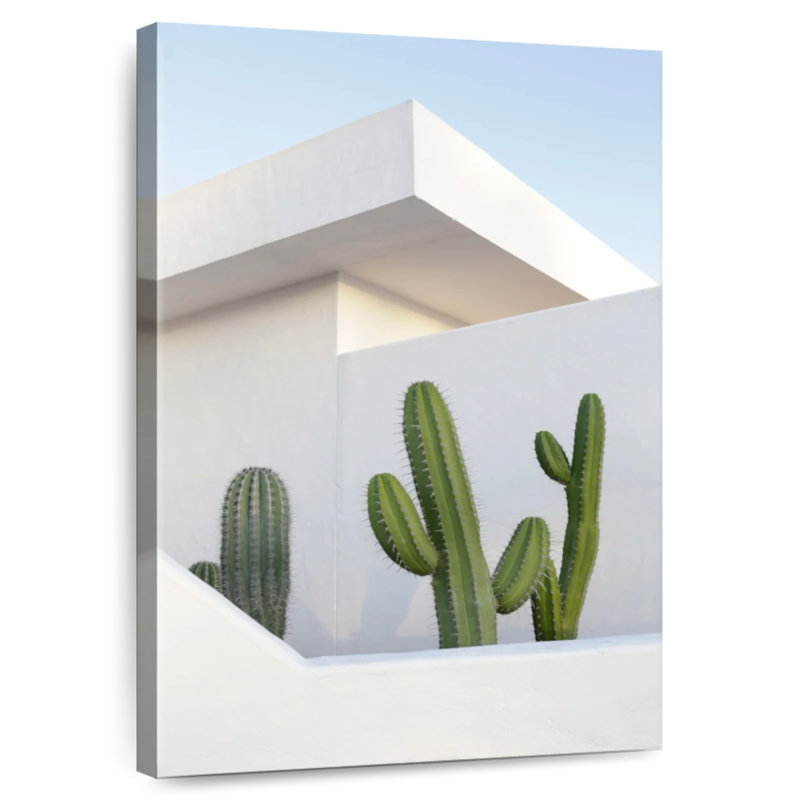 Cactus Harnek, H 24 po x l 16 po