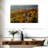 Nicci North Carolina Viaduct-108887457