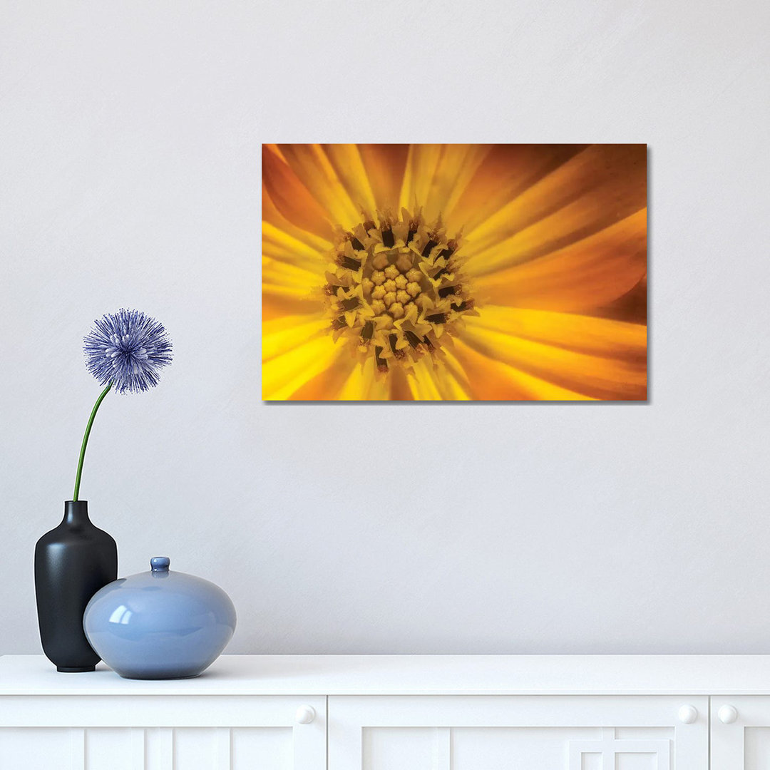 Sunflower by Glauco Meneghelli - Wrapped Canvas Print